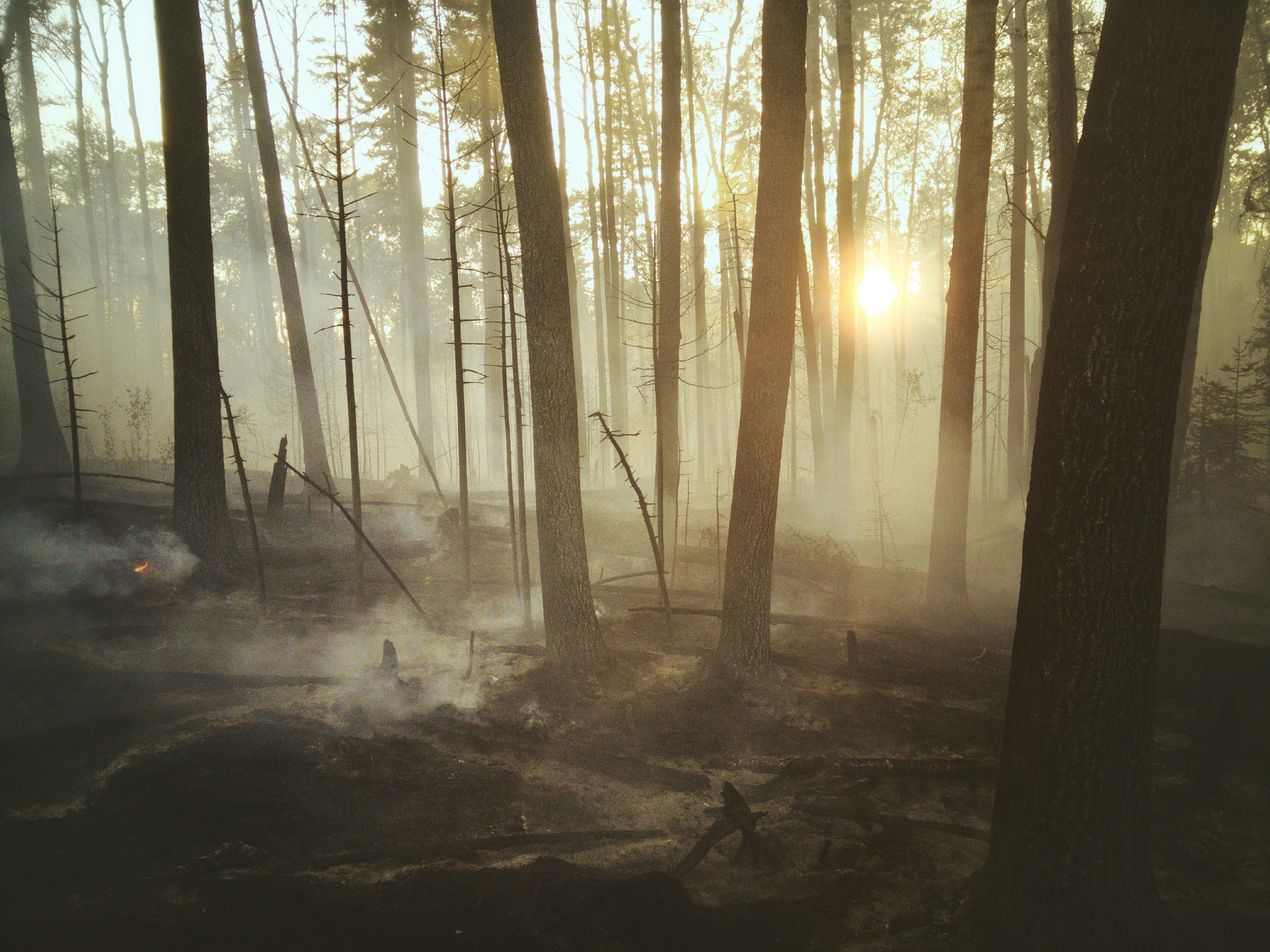 Drought Fire State of the Basin